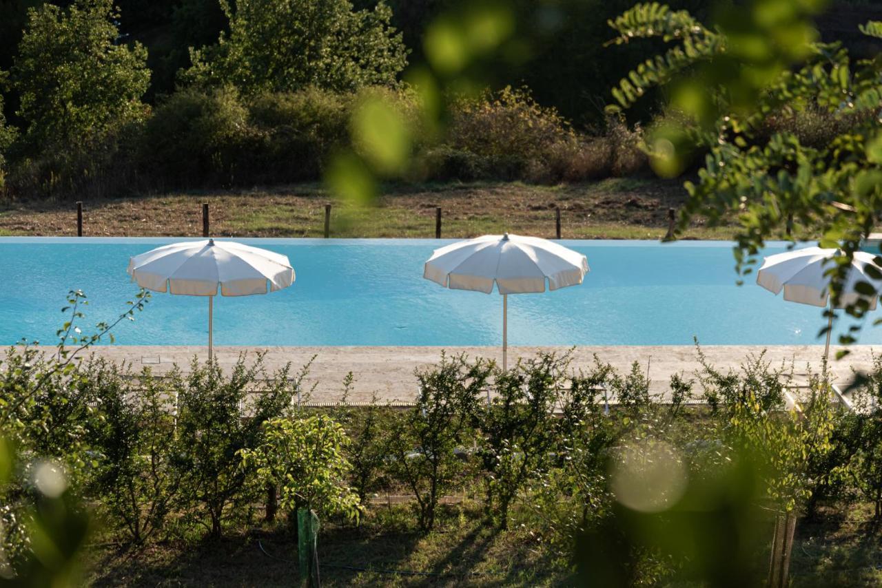 Chianti B&B Design Infinity Pool Shared Pianella  Exterior foto