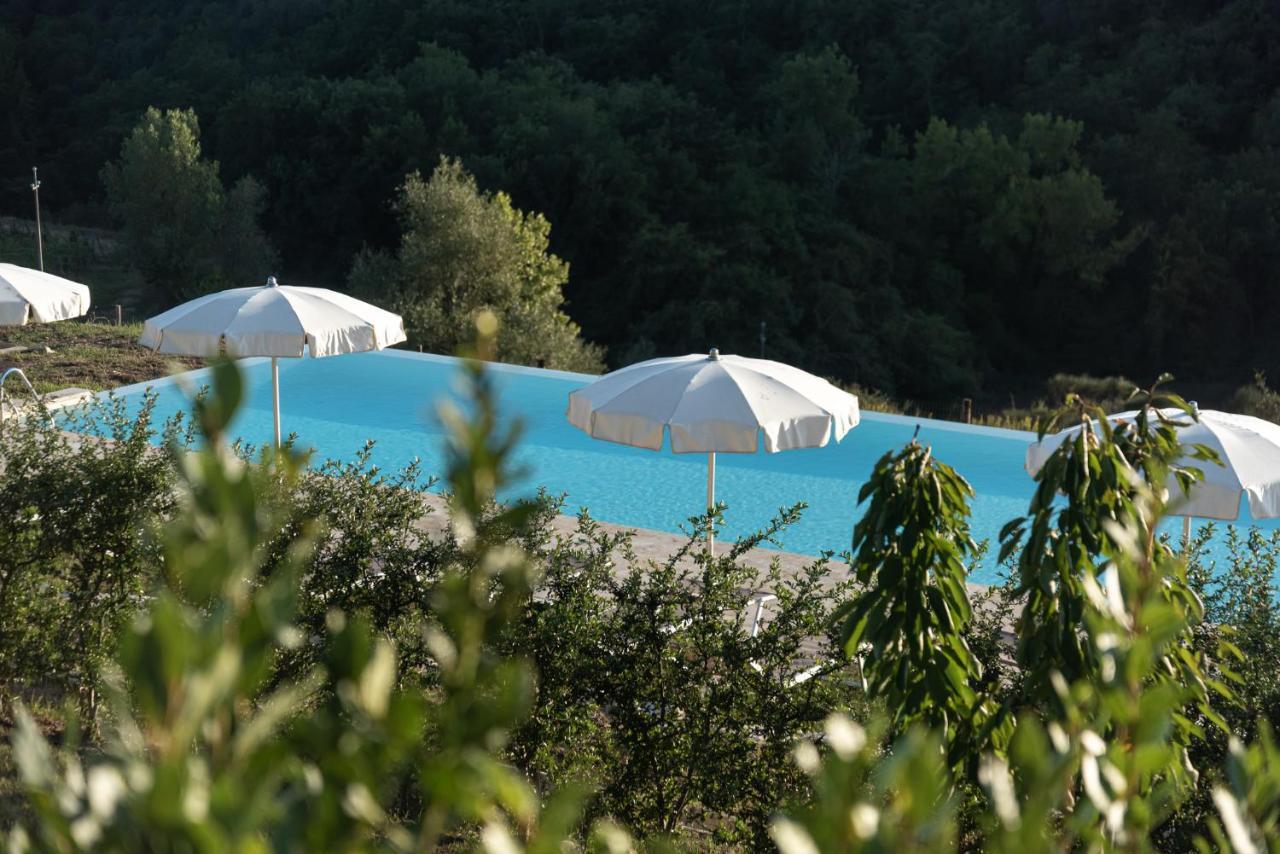 Chianti B&B Design Infinity Pool Shared Pianella  Exterior foto